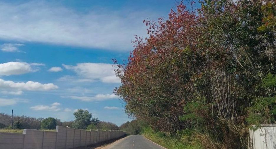 For sale land in Nong Yai, Chonburi