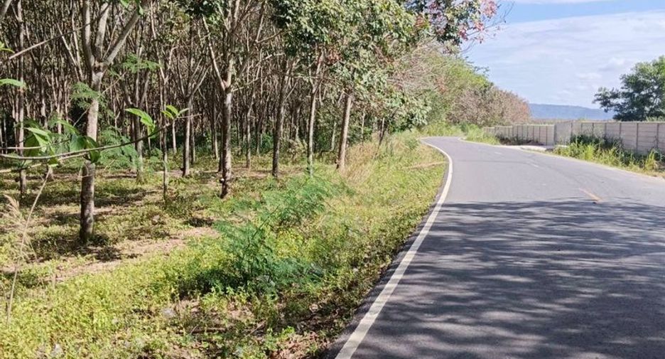 For sale land in Nong Yai, Chonburi