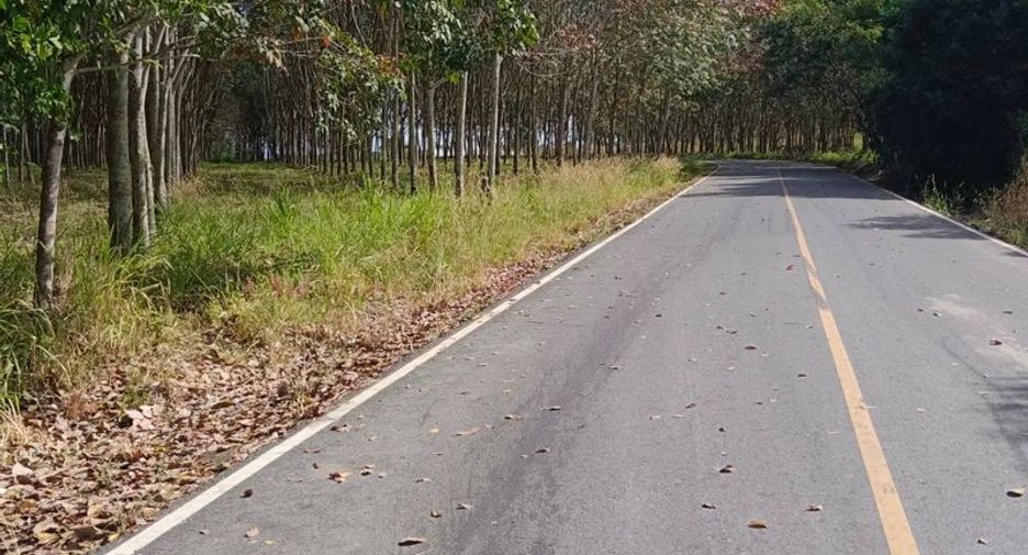 For sale land in Nong Yai, Chonburi