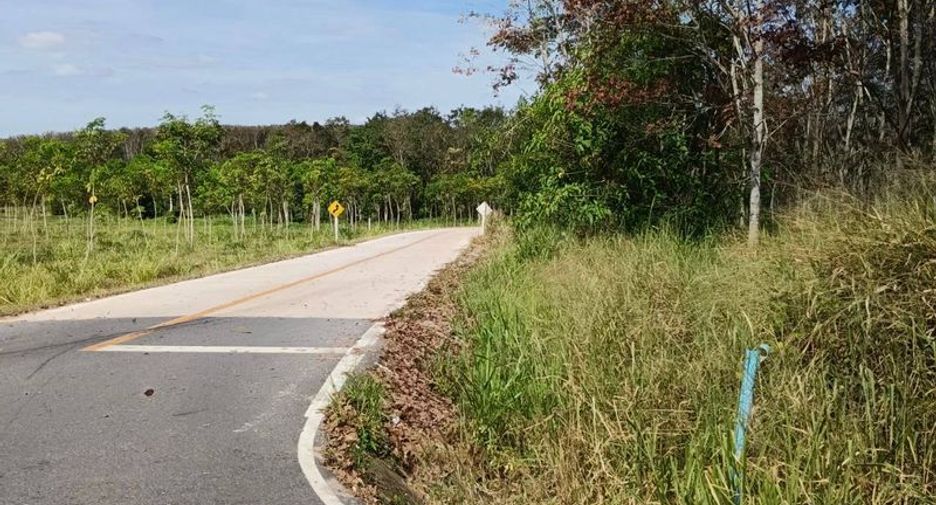 For sale land in Nong Yai, Chonburi