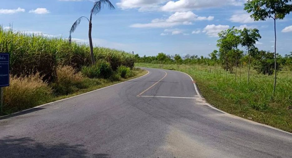 For sale land in Nong Yai, Chonburi