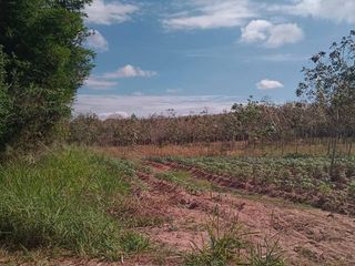 For sale land in Nong Yai, Chonburi
