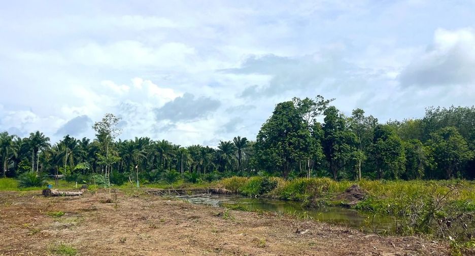 For sale land in Takua Thung, Phang Nga