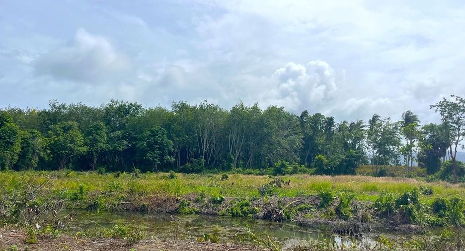 For sale land in Takua Thung, Phang Nga