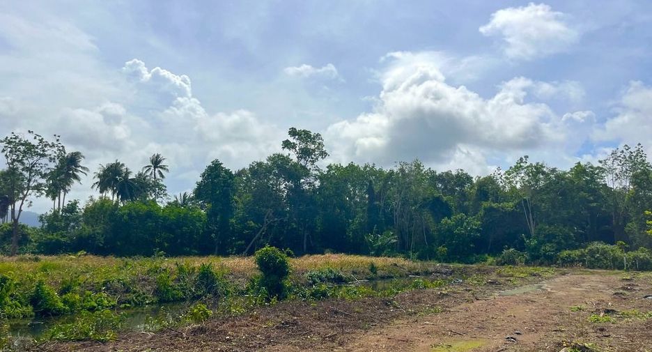 For sale land in Takua Thung, Phang Nga