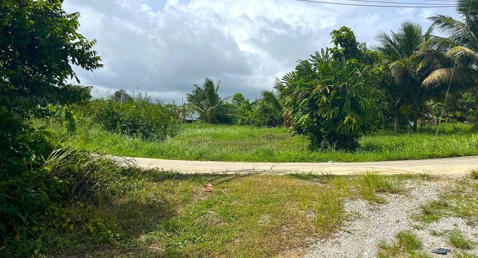 For sale land in Takua Thung, Phang Nga