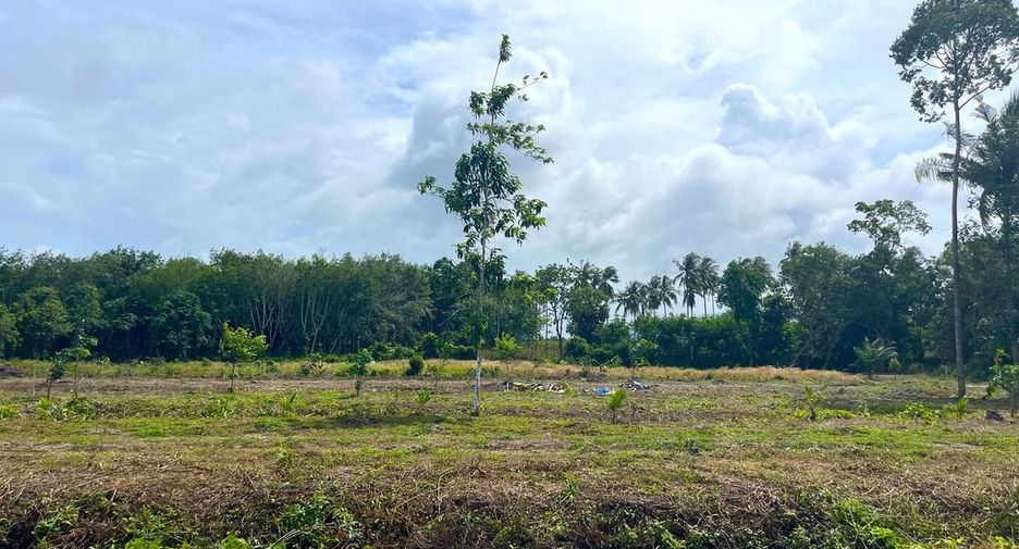 For sale land in Takua Thung, Phang Nga