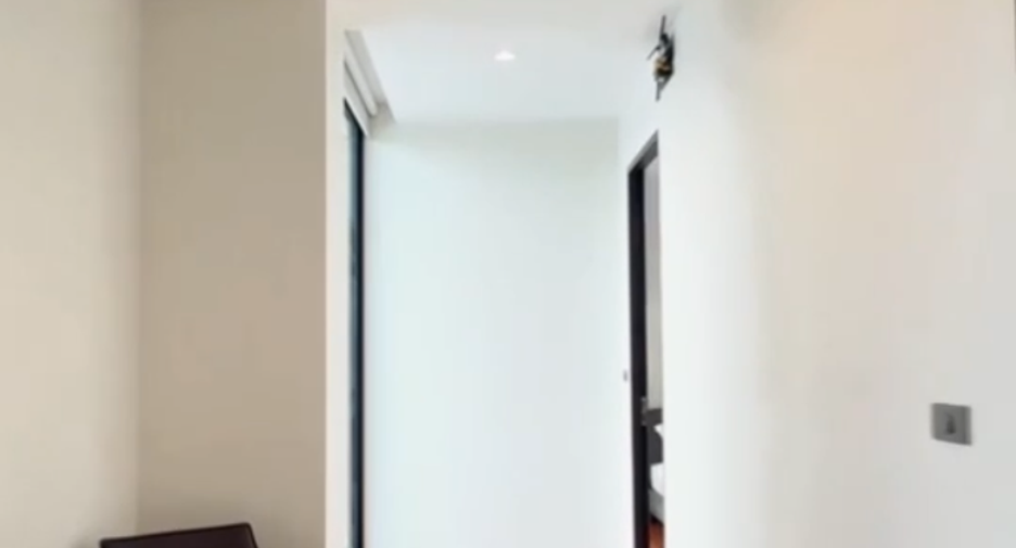 出租 和 出售 12 卧室 独立屋 在 Watthana, 曼谷