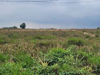 For sale land in Nikhom Phatthana, Rayong
