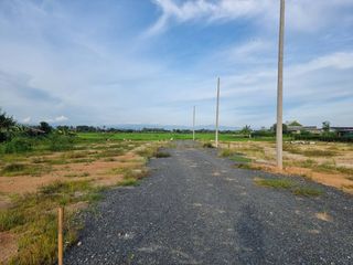 For sale land in Mae Rim, Chiang Mai