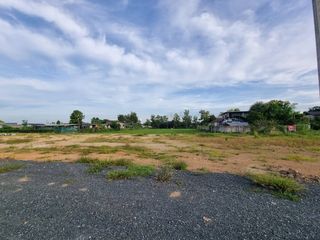 For sale land in Mae Rim, Chiang Mai