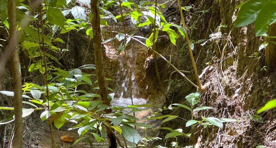 Grundstück zum Kauf in Mueang Krabi, Krabi