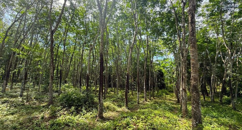 Grundstück zum Kauf in Mueang Krabi, Krabi