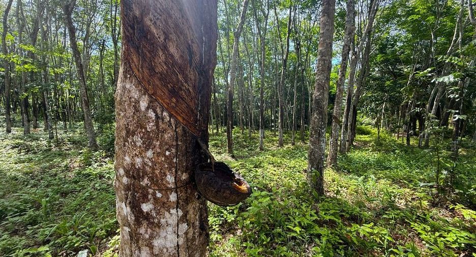 Grundstück zum Kauf in Mueang Krabi, Krabi
