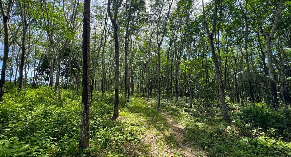 Grundstück zum Kauf in Mueang Krabi, Krabi