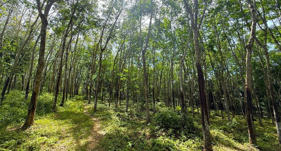 Grundstück zum Kauf in Mueang Krabi, Krabi