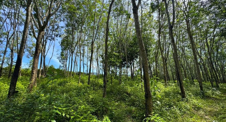 Grundstück zum Kauf in Mueang Krabi, Krabi