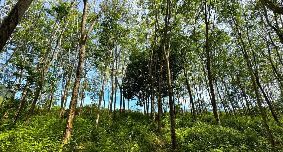 Grundstück zum Kauf in Mueang Krabi, Krabi