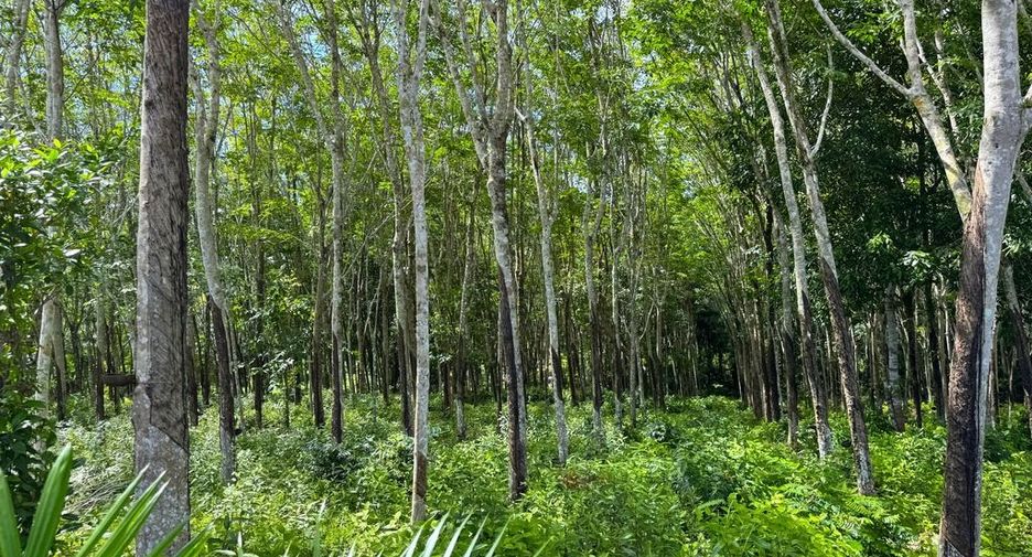 Grundstück zum Kauf in Mueang Krabi, Krabi