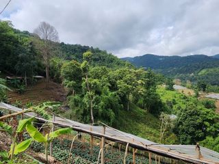 À vendre terrain à Mae Rim, Chiang Mai