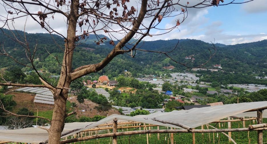 À vendre terrain à Mae Rim, Chiang Mai