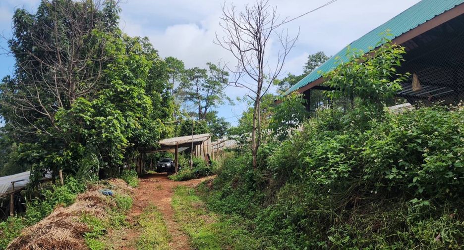 À vendre terrain à Mae Rim, Chiang Mai