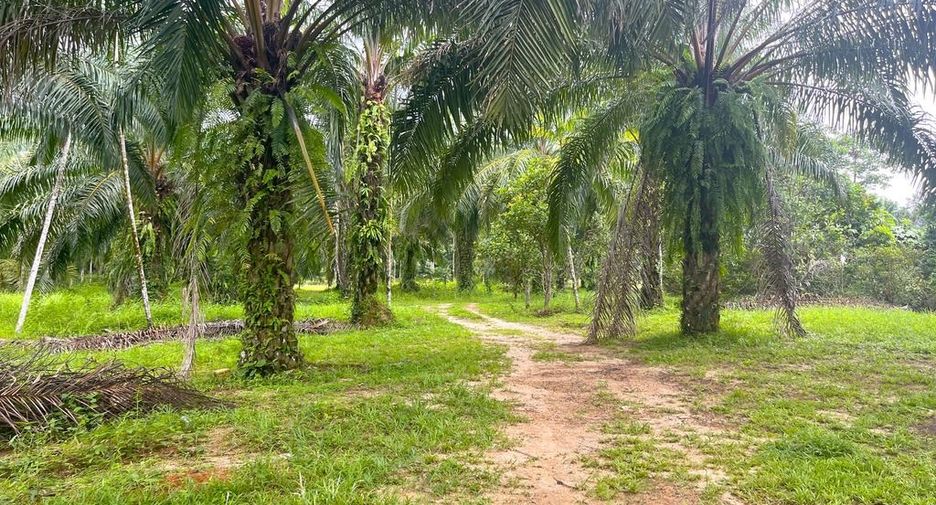 Terreno en venta en Takua Pa, Phang Nga