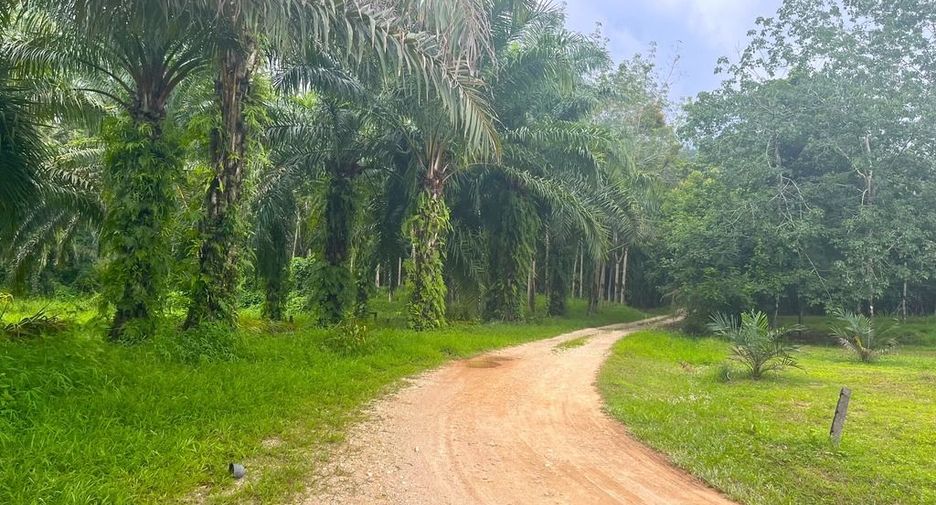 Terreno en venta en Takua Pa, Phang Nga