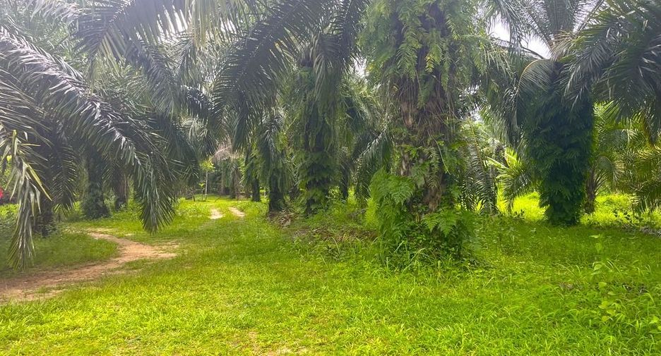 Terreno en venta en Takua Pa, Phang Nga