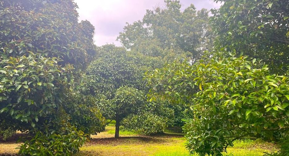Terreno en venta en Takua Pa, Phang Nga
