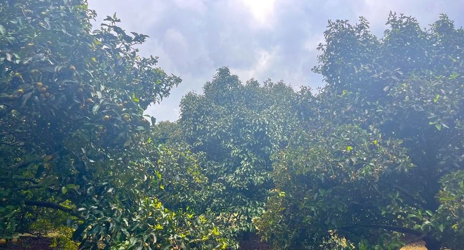 Terreno en venta en Takua Pa, Phang Nga