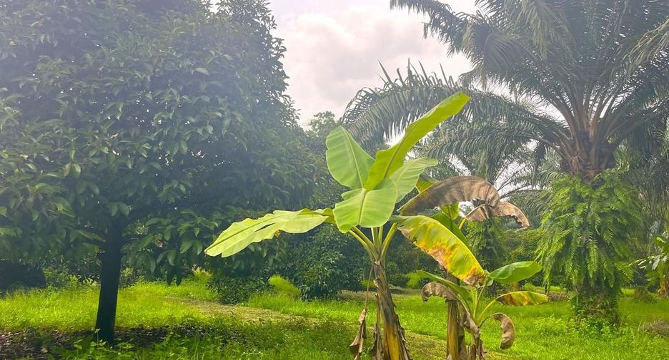 Terreno en venta en Takua Pa, Phang Nga