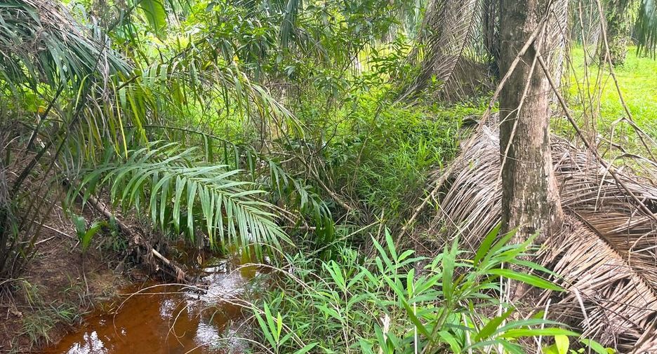 Terreno en venta en Takua Pa, Phang Nga