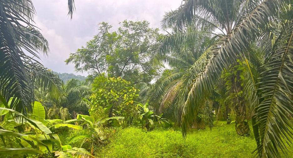 Terreno en venta en Takua Pa, Phang Nga