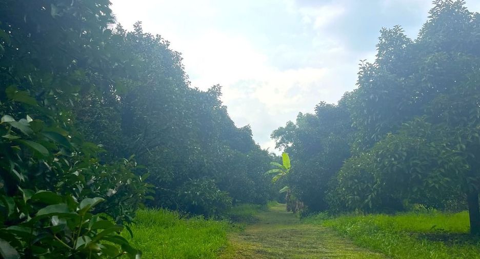 Terreno en venta en Takua Pa, Phang Nga