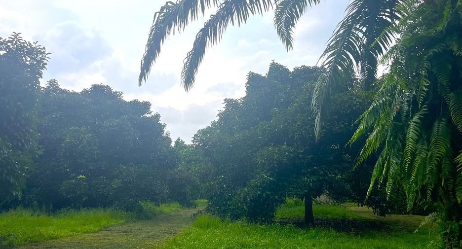 Terreno en venta en Takua Pa, Phang Nga