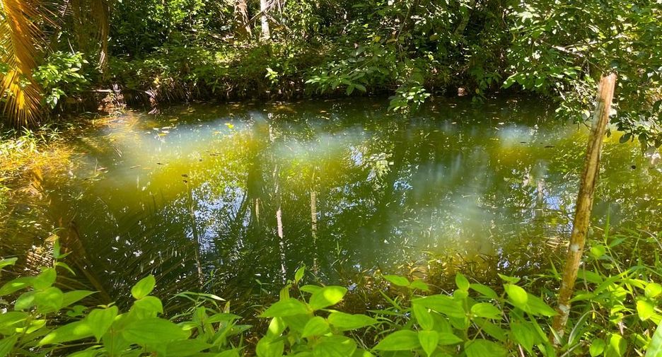 Terreno en venta en Thai Mueang, Phang Nga