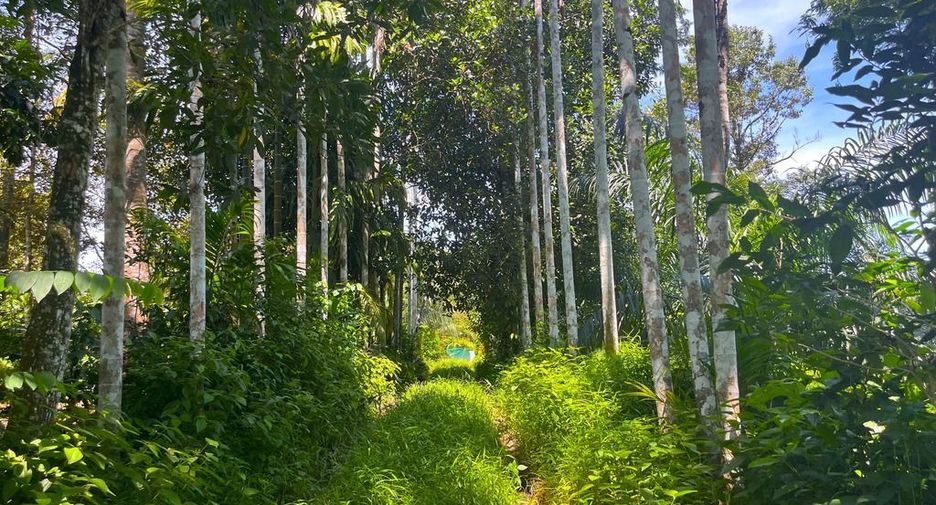 Terreno en venta en Thai Mueang, Phang Nga