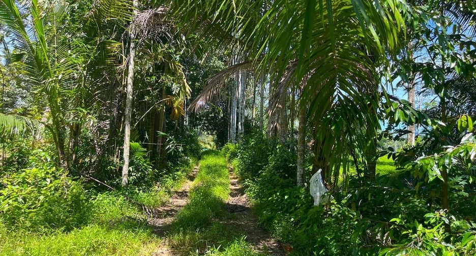 Terreno en venta en Thai Mueang, Phang Nga