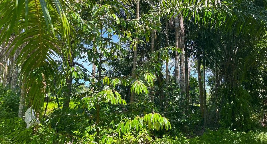Terreno en venta en Thai Mueang, Phang Nga