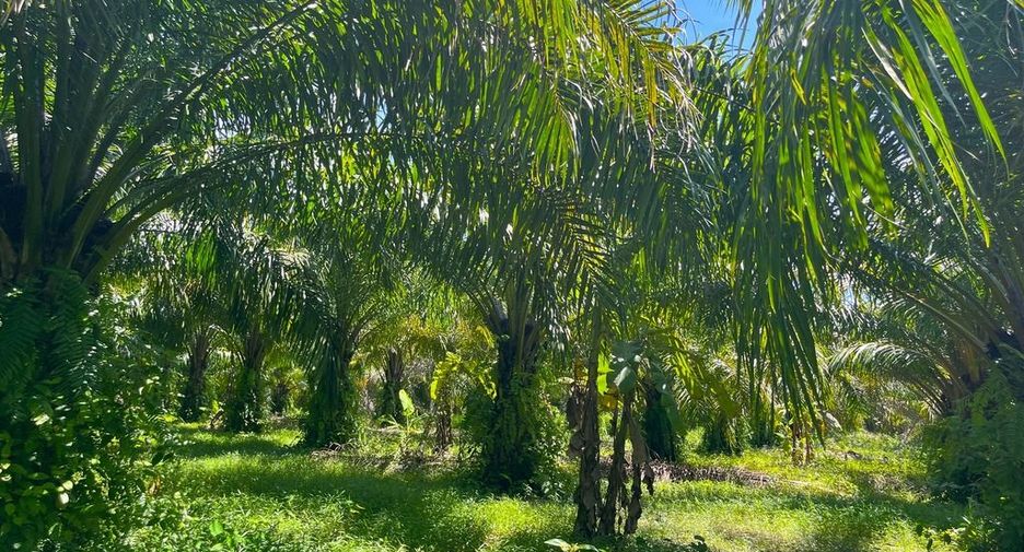 Terreno en venta en Thai Mueang, Phang Nga