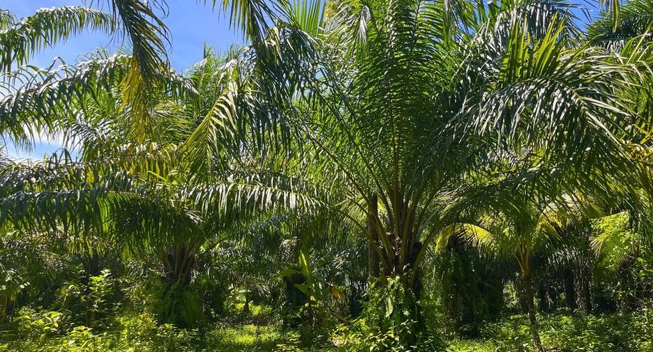 Terreno en venta en Thai Mueang, Phang Nga