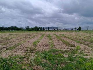 For sale land in Pluak Daeng, Rayong