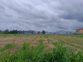 For sale land in Pluak Daeng, Rayong