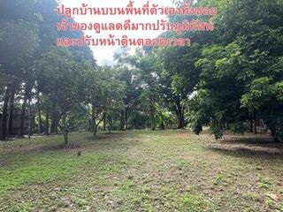 For sale land in Mueang Chiang Mai, Chiang Mai