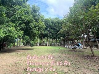 For sale land in Mueang Chiang Mai, Chiang Mai