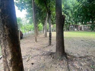 For sale land in Mueang Chiang Mai, Chiang Mai