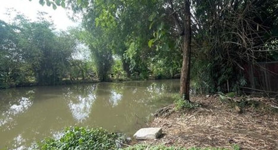 ขาย ที่ดิน ใน เมืองเชียงใหม่, เชียงใหม่