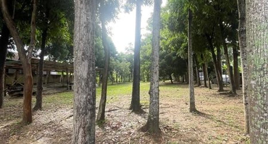 ขาย ที่ดิน ใน เมืองเชียงใหม่, เชียงใหม่