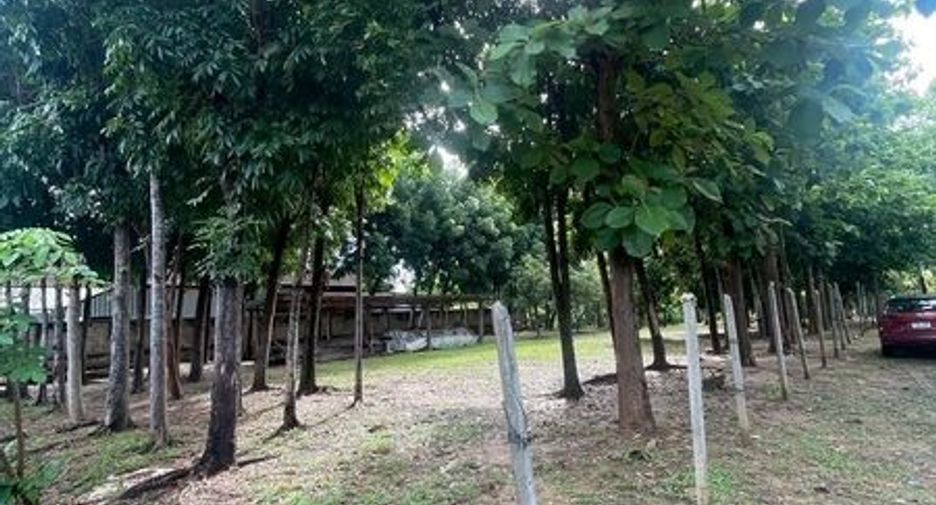 ขาย ที่ดิน ใน เมืองเชียงใหม่, เชียงใหม่